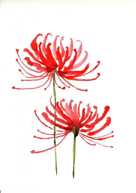 Japanese Spider Lily Drawing, Spider Lily Drawing Easy, Simple Spider Lily Drawing, Watercolor Spider Lily, Red Spider Lily Watercolor, Red Spider Lily Illustration, Red Spider Lily Drawing Easy, Red Spider Lily Drawing Tutorial, How To Draw Spider Lily