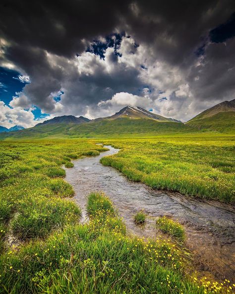 902 Likes, 13 Comments - Qammer Wazir (@qammer_wazir) on Instagram: ““The land of Giants” Deosai, Gilgit Baltistan. #deosai #green #landofgiants” Kashmir Landscape, Mt Pulag Photography, Himalaya Mountains Photography, Afghanistan Nature, Indian Mountains Photography, Gilgit Baltistan, Islamic Republic, South Asia, Photography Skills