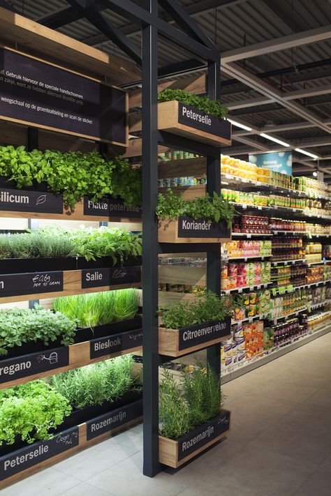 ©studiomfd, Instore, Herb Garden, retail, design, green, eco, albert heijn, XL (www.studiomfd.com) Indoor Farming, Vegetable Shop, Grocery Store Design, Supermarket Design, Vertical Farming, Fruit Shop, Retail Store Design, Hydroponic Gardening, Small Farm