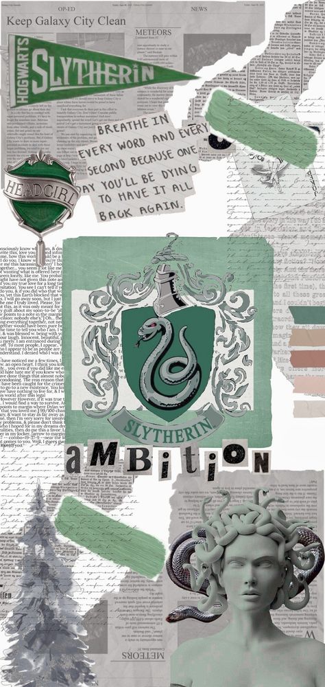 Slytherin Wallpaper, Drako Malfoy, Best Riddle, Slytherin Harry Potter, Harry Potter Images, Slytherin House, Dark Green Aesthetic, Hogwarts Aesthetic, Harry Potter Tumblr