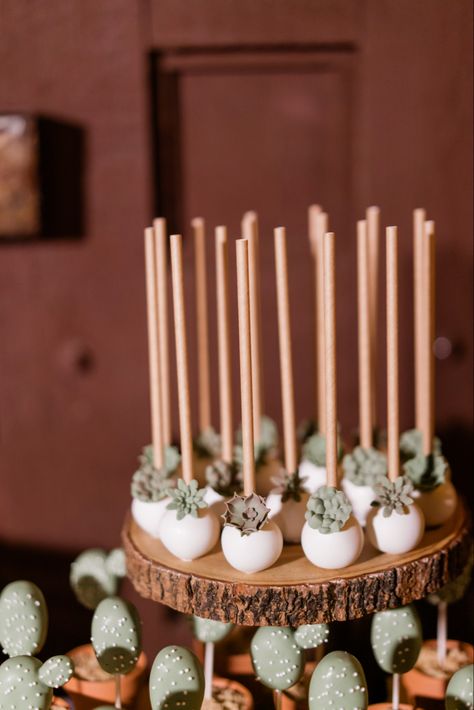 Gala Dessert Table, Rustic Cake Pops Ideas, Succulent Dessert Table, Rustic Cake Pops, Succulent Cake Pops, Boho Desserts, Boho Dessert Table, Instead Of Wedding Cake, Bachelorette Desserts