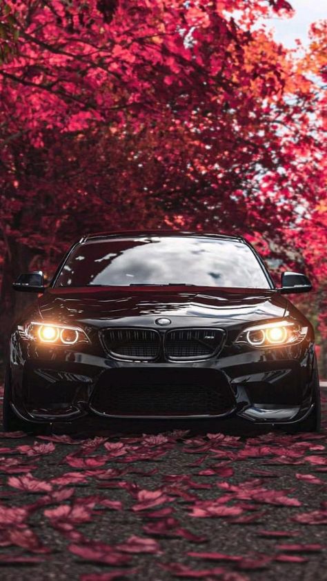 Bike Wallpaper, Bmw Sports Car, Carros Bmw, Roadster Car, Tokyo Drift Cars, Bmw Black, Serie Bmw, Dream Cars Bmw, Bmw Sport