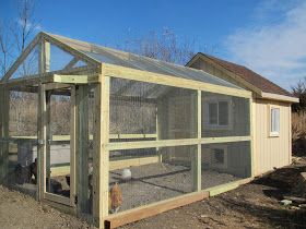 Big Chicken Coop, Chicken Coop And Run, Coop And Run, Big Chicken, Chicken Barn, Portable Chicken Coop, Biggest Chicken, Chicken Pen, Chicken Coop Run