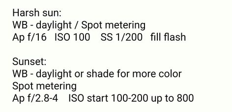 Canon Camera Settings For Outdoor Portraits, Camera Setting For Sunset Pictures, Camera Settings For Beach Photography, Beach Camera Settings, Beach Photo Settings, Sunset Camera Settings, Maturity Shoot, Future Pictures, Photoshoot Camera