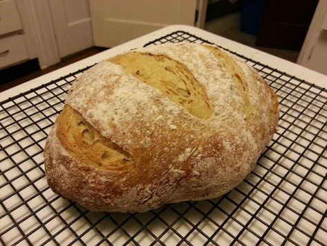 Grain Bread Recipe, Spent Grain, Beer Dinner, Holiday Recipes Thanksgiving, Beer Bread Recipe, Yeast Starter, Beer Soap, Grain Bread, Grain Recipes