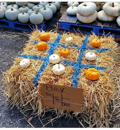 Fall Festival Event Ideas, Trunk Or Treat Farmers Market, Big Fall Decorations, Pumpkin Festival Decorations, Fall Bash Ideas, Fall Festival At Home, Home Fall Festival Ideas, Harvest Festival Booth Ideas, Fall Theme Event