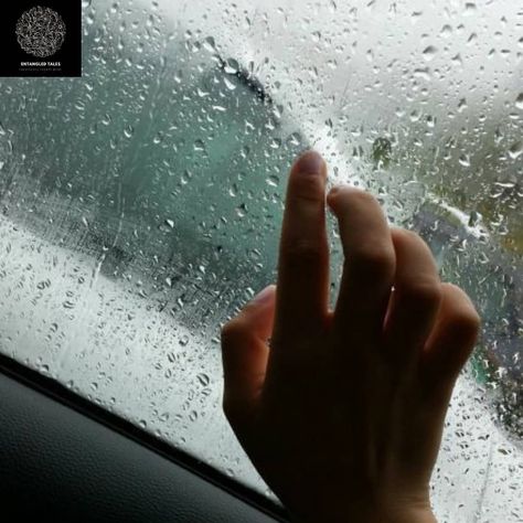 108 Likes, 30 Comments - Entangled Tales (@entangled_tales) on Instagram: “"I didn't want this to end.", I said to myself while watching the raindrops racing down the glass…” Rainy Day Pictures, Rainy Day Photos, Rainy Day Photography, I Love Rain, Night Sky Photography, Hand Photography, Love Rain, Profile Pictures Instagram, Story Ideas Pictures