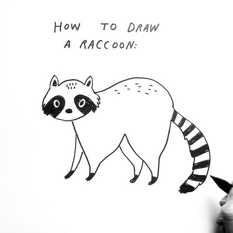 Small Raccoon Drawing, Cute Raccoon Art, Raccoon Drawing Simple, Racoon Doodle, Raccoon Sketch Simple, Raccoon Drawing Sketches, Raccoon Illustration, Raccoon Drawing, Space Doodles