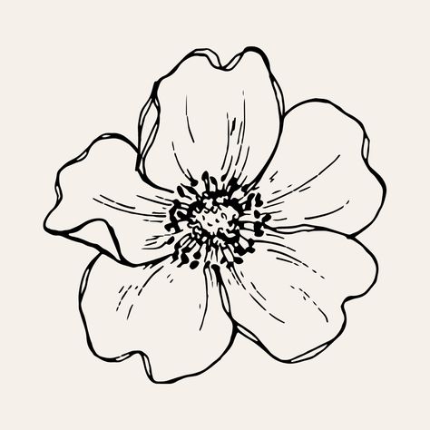 Flowers Leaves Drawing, Black And White Flower Embroidery, Flower Print Black And White, Drawn Hibiscus Flower, Abstract Flower Line Art, Outlines Of Flowers, Black And White Flower Illustration, Simple Flower Line Drawing, Flower Clip Art Black And White