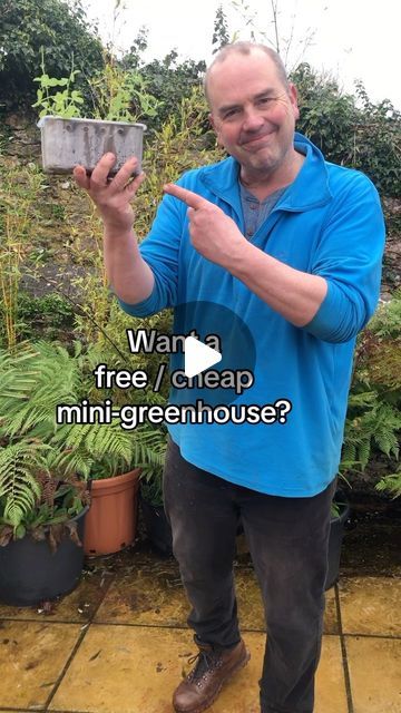 Mini Greenhouse Diy, Mini Greenhouse Ideas, Milk Jugs Garden, Veggie Beds, Sam Ryder, Diy Mini Greenhouse, Broad Beans, Diy Herb Garden, Need More Space