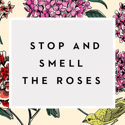 Stop and Smell The Roses Smell The Roses Quote, Poem Memes, Quotes Flowers, Mark My Words, Rose Quotes, Quotes About Happiness, Stop And Smell The Roses, Inspirational Speaker, About Happiness