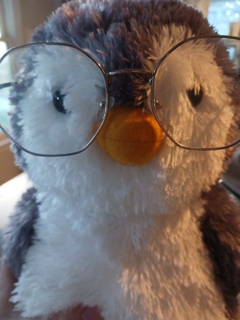 Cute Penguin Pfp, Penguin Icon Aesthetic, Peanut Penguin, Penguin Cute Aesthetic, Plushies With Glasses, Aesthetic Penguin, Brown Penguin, Penguin Pfp, Penguin Icon