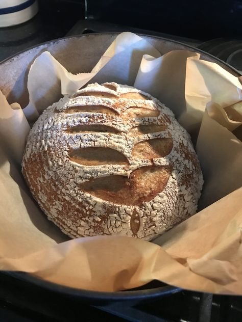 No Knead Lemon, Garlic, & Rosemary Bread Bread Aesthetic, Roasted Heirloom Tomatoes, Ballerina Farm, Rosemary Bread, Sourdough Loaf, Bread Lame, Knead Bread Recipe, Greek Lemon Chicken, Knead Bread