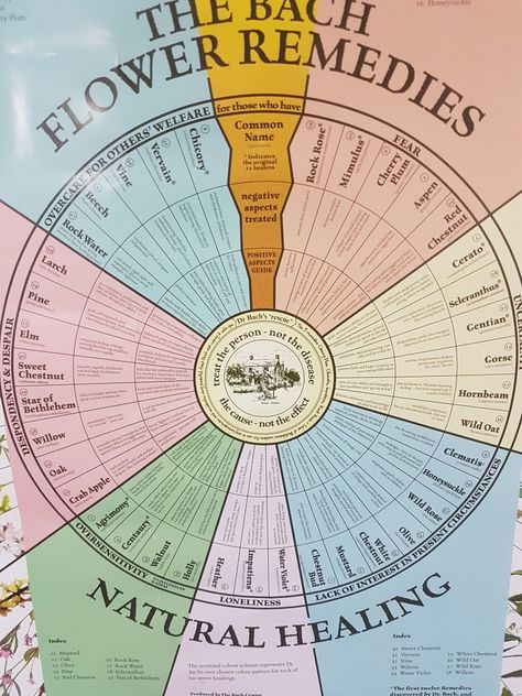 Bach Flower Remedies Chart, Le Mal A Dit, Rescue Remedy, Bach Flowers, Flower Remedies, Bach Flower Remedies, Flower Remedy, Sweet Chestnut, Energy Medicine