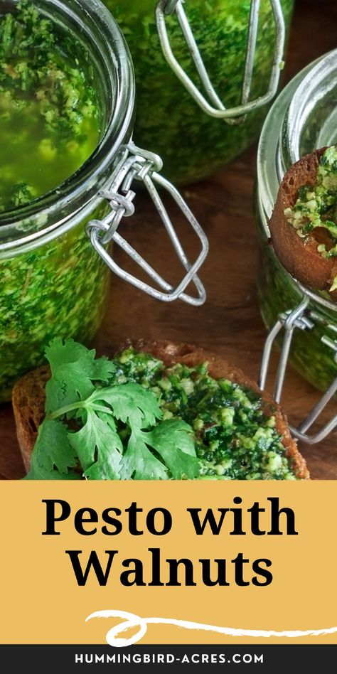 Discover the rich, nutty flavor of walnut pesto! Perfect for pasta, sandwiches, or as a dip, this easy recipe adds a delightful twist to traditional pesto. Canning Pineapple, Homemade Cream Cheese Recipe, Deer Resistant Perennials, Pineapple Jam, Homesteading For Beginners, Walnut Pesto, Water Bath Canning, Seasoned Salt, Cream Cheese Recipes