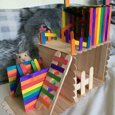 Hamster Toys Diy, Diy Hamster House, Kandang Hamster, Diy Hamster Toys, Hamster Diy Cage, Gerbil Toys, Hamster Cute, Hamster Diy, Hamster Life