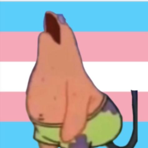 Sneet Snart, Trans Pfp, Lgbt Memes, Trans Boys, Kpop Pfp, Trans Flag, Pride Flag, Pride Flags, Memes