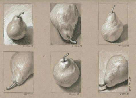 6 Days of Pear Sketches graphite and white charcoal on Strathmore toned tan sketch paper Charcoal Toned Paper, Tanned Paper Drawing, Art On Toned Paper, Charcoal On Brown Paper, Charcoal On Toned Paper, Toned Paper Drawing Ideas, Tan Toned Paper Art, Strathmore Toned Tan, Gray Toned Paper Drawing