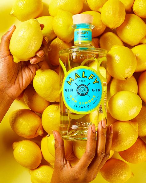 Malfy Gin, Amalfi Lemons, Flavoured Gin, Gin Brands, Social Media Branding Design, Craft Gin, Alcohol Packaging, Lemon Drink, Media Branding