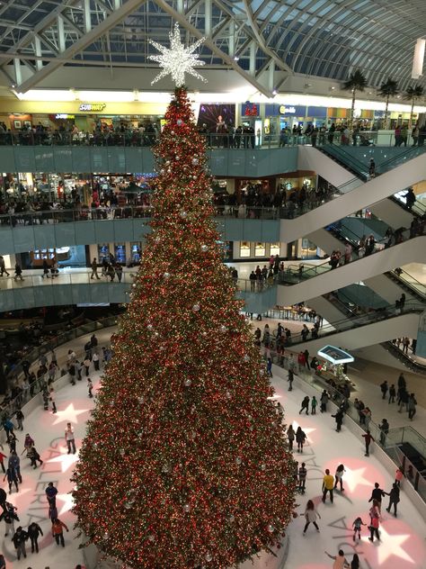 Galleria Mall Dallas Texas Galleria Mall Dallas Texas, Galleria Mall, Christmas Pics, December 2024, Dallas Texas, Christmas Pictures, Summer Vacation, Desktop Wallpaper, Dallas