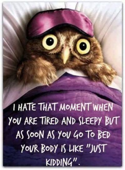 Cant Sleep Meme, I Cant Sleep Quotes, Cant Sleep Quotes Funny, Cant Sleep Quotes, Sleep Quotes Funny, Sleep Meme, Funny Good Night Quotes, Tired And Sleepy, Good Night Funny