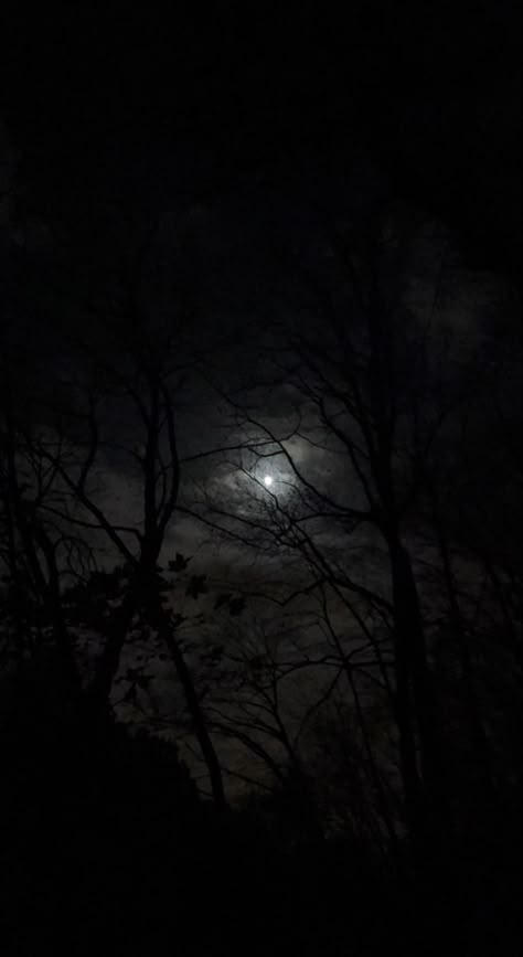 Iphone Wallpaper Night, Black Hour, Wallpaper Night, Dark Naturalism, Dark Forest Aesthetic, Dark Black Wallpaper, Dark Landscape, Forest Aesthetic, Night Sky Wallpaper