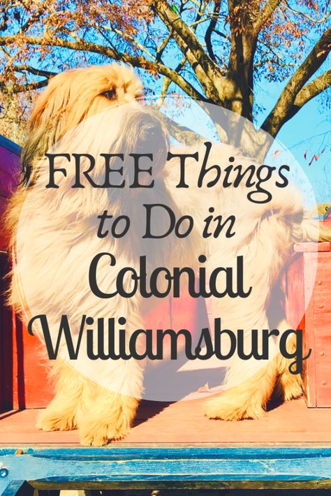 Williamsburg Vacation, Colonial Williamsburg Va, Sister Trip, Time For School, Virginia Travel, Freebie Friday, Williamsburg Virginia, Colonial History, Fall Break