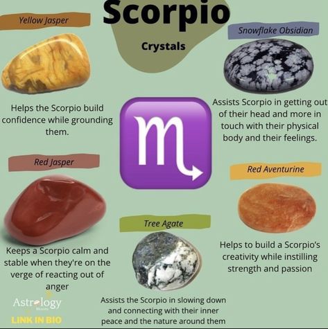 Celtic Zodiac Signs, Zodiac Mind Scorpio, Scorpio Eyes, Celtic Zodiac, Astrology Scorpio, Crystal Healing Chart, Scorpio Zodiac Facts, Scorpio Horoscope, Astrology Art