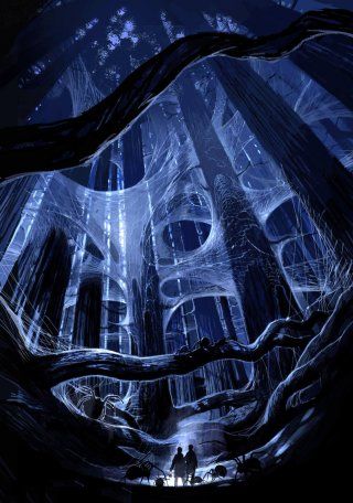 Dermot Power, Forbidden Forest, Harry Potter Illustrations, The Chamber Of Secrets, Harry Potter And The Chamber Of Secrets, Images Harry Potter, Harry Potter Fanart, Potter Facts, Hogwarts Is My Home