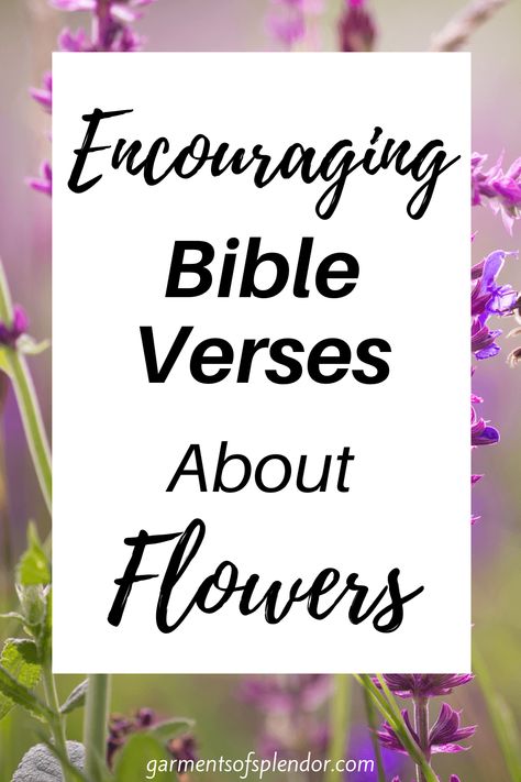 Scripture About Blooming, Christian Flower Quotes, Bloom Bible Verse, Scripture About Flowers, Flower Verses Bible, Bloom Where You Are Planted Bible Verse, Bible Verse About Flowers, Scripture Flowers, Biblical Flowers Tattoo