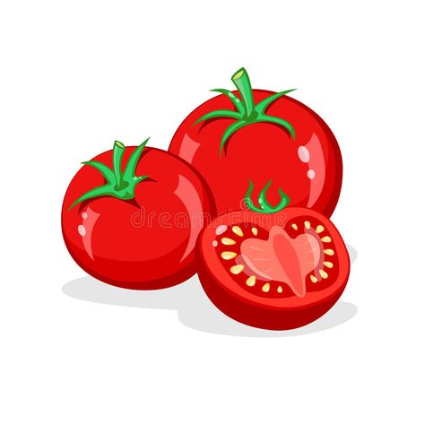 Tomato Vector Illustration, Tomato Cute Drawing, Tomatoes Drawing, Tomatoes Illustration, Tomato Cartoon, Tomato Clipart, Cartoon Tomato, Tomato Vector, Tomato Illustration