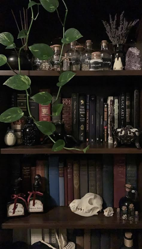 Witchy Academia, Goth Houses, Witchy Room, Witch Room, Dark Home Decor, Goth Home, Goth Home Decor, Dark Home, Gothic Home