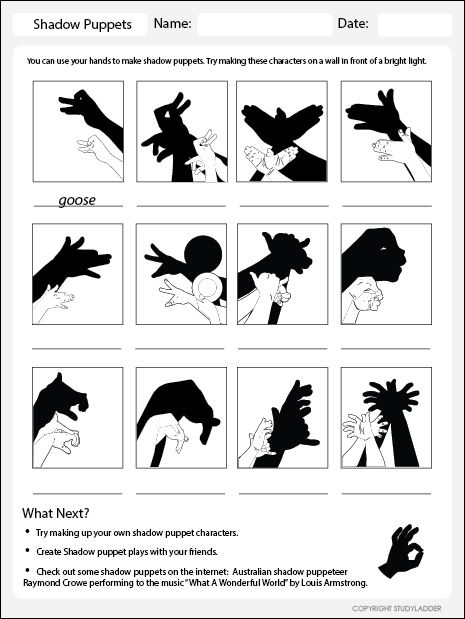 Shadow Hands Worksheet - Click to download. Shadow Hand Puppets, Shadow Hands, Shadow Puppets With Hands, Shadow Activities, Teachers Toolbox, Home Tutors, Light Activities, School Administration, Science Worksheets