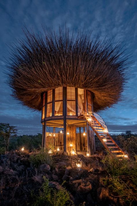 Unusual House, Architecture Cool, Cool Tree Houses, Tree House Designs, Unusual Buildings, Bamboo House, Unusual Homes, Safari Lodge, Unique Houses