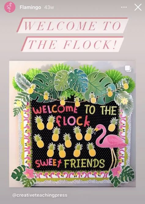 Tropical School Theme, Tropical Classroom Decorating Ideas, Luau Themed Classroom, Tropical Classroom Theme Bulletin Boards, Tropical Theme Bulletin Board, Hawaiian Classroom Decorations, Flamingo Classroom Decor, Tropical Theme Classroom Decor, Tropical Classroom Theme Ideas