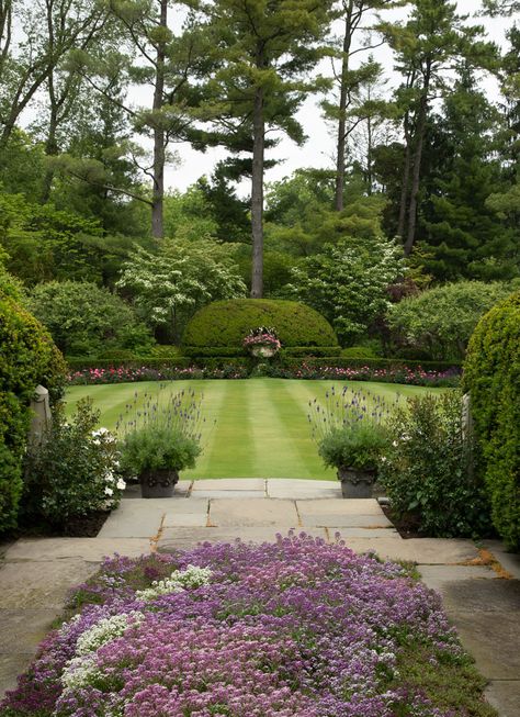 Thyme Garden, Lawn Striping, Parterre Garden, English Garden Design, Lavender Rosemary, Pergola Garden, Formal Garden, Formal Gardens, Olive Trees