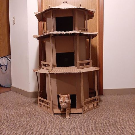 30 Times People Built Their Cats A Cardboard Fort And It's An Ecological Solution To Where To Put All The Boxes Cardboard Forts, Cardboard Cat House, Cat Castle, Cardboard Castle, Cardboard Cat, Cat House Diy, Star Wars Diy, Fancy Cats, Cat Furniture Diy