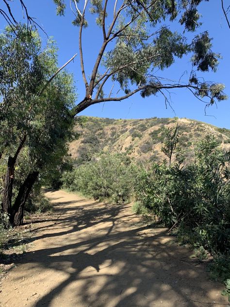 Runyon Canyon Hike, Hike Aesthetic, Runyon Canyon, Hikes In Los Angeles, Nice Scenery, La Confidential, Sunshine City, Los Angeles Aesthetic, Best Year Ever