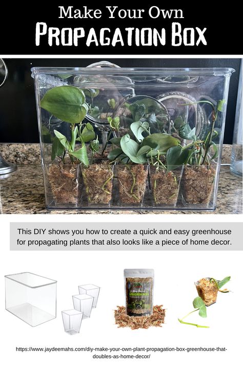 Mini Indoor Greenhouse Diy, How To Sell Plants, Selling Plants From Home, Houseplant Diy, Diy Indoor Greenhouse, Easy Greenhouse, Plants Hacks, Indoor Forest, Diy Mini Greenhouse