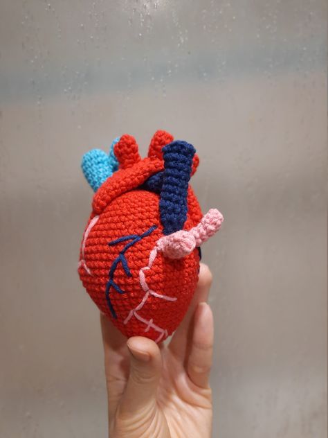 Valentine’s Day Crochet Patterns, Birthday Crochet Gift Ideas, Heart Crochet Pattern, Real Heart, Heart Crochet, Project Steps, Crochet Bee, Valentines Crochet, Anatomical Heart