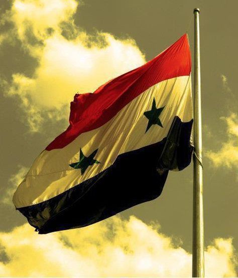 The lovely Syrian flag <3 <3 Lebanon Army, Syria Pictures, Syrian Flag, First Class Lounge, Syria Flag, Damascus Syria, Islamic Artwork, Anime Expressions