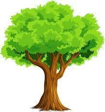 Tree Cartoon Images, Tree Drawing Simple, Cartoon Tree, Cartoon Trees, Picture Tree, Nature Background Images, Cartoon House, City Cartoon, Free Clipart Images