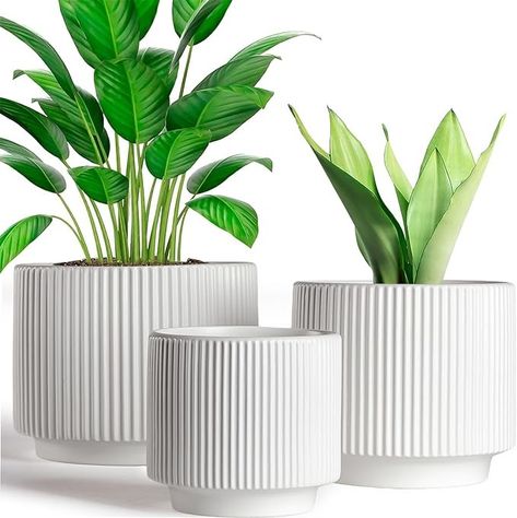 Amazon.com: Houlu Set of 3 White Ceramic Plant Pots (7.8/6.5/5.1 inch) with Drainage, Small Flower Planter for Indoor and Outdoor Plants : Patio, Lawn & Garden Small Houseplants, White Flower Pot, Plant Types, White Ceramic Planter, Indoor Flower Pots, Ceramic Planter Pots, Drainage System, Plants Indoor, Ceramic Flower Pots