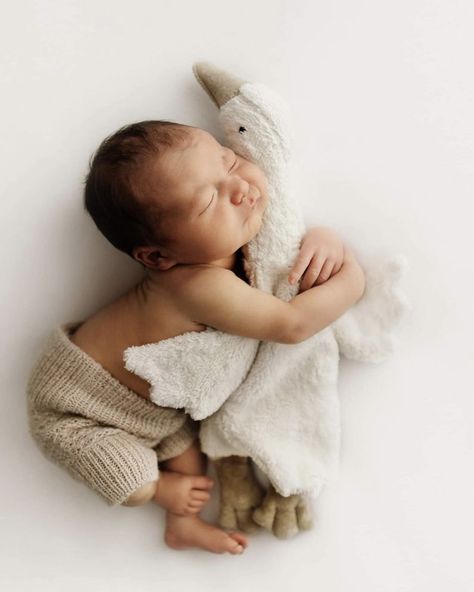 Newborn Photo With Stuffed Animal, Newborn Family Pictures, Foto Newborn, Newborn Photography Boy, Baby Pictures Newborn, Newborn Family Photos, Newborn Baby Photoshoot, Baby Poses, Newborn Baby Photos