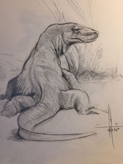 Komodo Dragon Sketch, Comodo Dragon Drawing, Komodo Dragon Drawing, Komodo Art, Komodo Dragon Tattoo, Komodo Dragon Art, Lizard Sketch, Lizard Drawing, Komodo Dragons