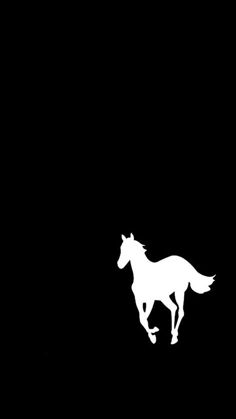 Pony Deftones White Pony, Horse Background, Country Backgrounds, Horse Wallpaper, Horse Tattoo, Best Iphone Wallpapers, Horse Pictures, White Horse, Cute Wallpaper Backgrounds