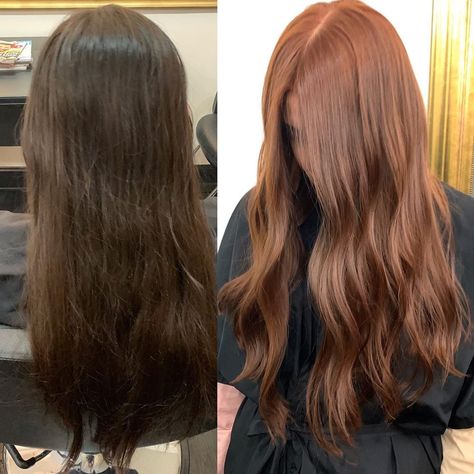 Dark Hair To Ginger Before And After, From Brown To Ginger Hair, Brown Hair To Ginger Before And After, Hair Color Ginger Brown, Brown Hair To Ginger, Copper Hair On Black Hair, Brunette To Ginger Hair, Ginger Hair On Brunette, Brown To Red Hair Transformation