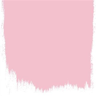 DIANTHUS PINK NO. 132 PAINT Jade Paint, Wall Primer, Wood Primer, Parsons Green, Jade Green Color, Masonry Paint, Floor Paint, Eggshell Paint, Paint Sample