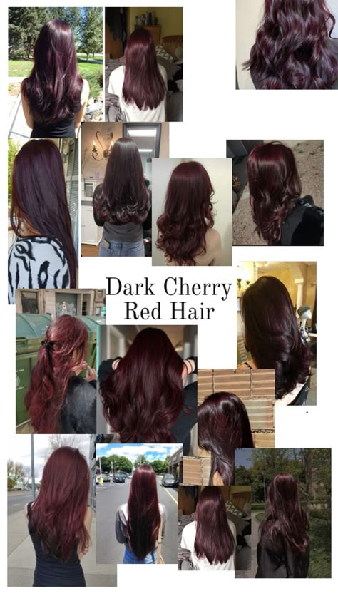 Burgundy Hair Indian Skin, Chocolate Cherry Red Hair, Cherry Red Dark Hair, Dark Cherry Highlights On Dark Hair, Black Hair With Cherry Red Highlights, Black Hair Red Undertones, Very Dark Red Hair, Dark Cherry Cola Hair, Cherry Wine Hair Color