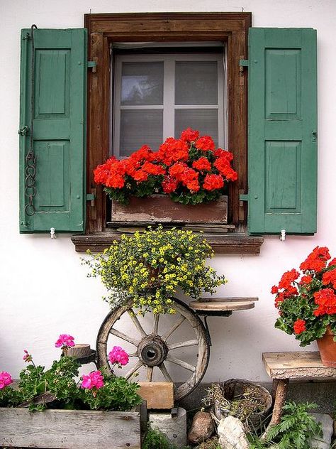 Engadine, Graubünden, Switzerland Red Geraniums, Beautiful Windows, Garden Windows, Window Dressings, Window Boxes, Through The Window, Beautiful Doors, Rustic Gardens, Window Box